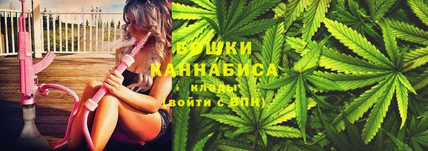 гидра Липки