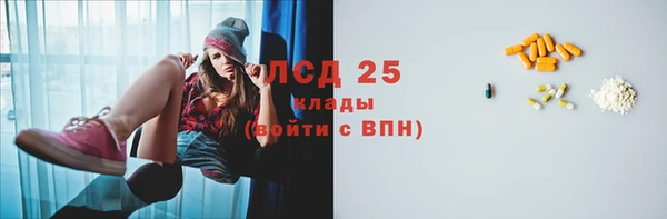 гидра Липки