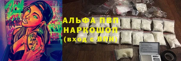 гидра Липки