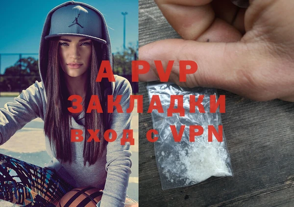 PSILOCYBIN Майский