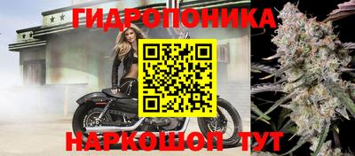 молекула духа Донецк