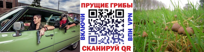 закладка  Ишимбай  omg маркетплейс  Псилоцибиновые грибы прущие грибы 
