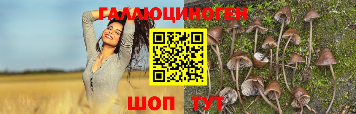 Псилоцибиновые грибы ЛСД Ишимбай