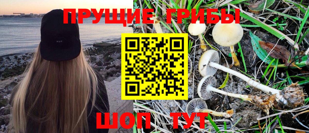 Ишимбай  Галлюциногенные грибы MAGIC MUSHROOMS  Вход с VPN 